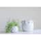 Hello Honey® 9" White Bubble Design Top Terracotta Planter
